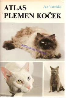 Atlas plemen koček