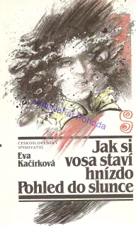 Jak si vosa staví hnízdo