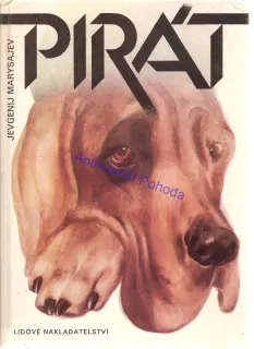 Pirát