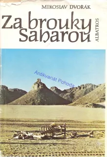 Za brouky Saharou