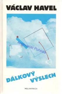 Dálkový výslech