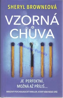 Vzorná chůva