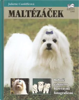 Maltézáček