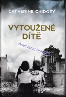 Vytoužené dítě