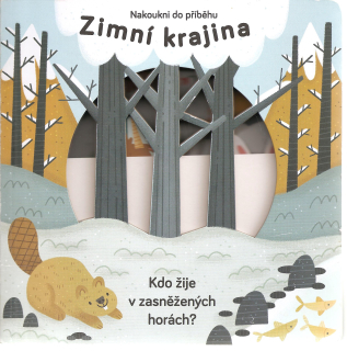 Zimní krajina