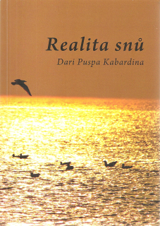 Realita snů