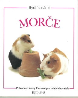 Morče