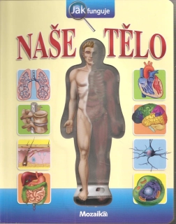 Naše tělo jak funguje