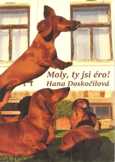 Moly ty jsi èro !