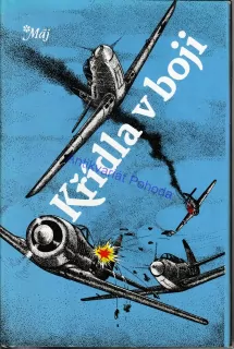 Křídla v boji