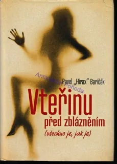 Vteřinu před zblázněním