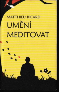 Umění meditovat