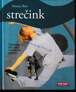 Strečink