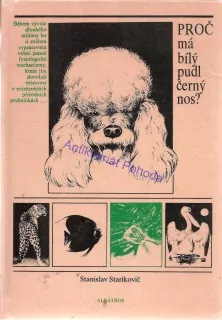 Proč má bílý pudl černý nos?