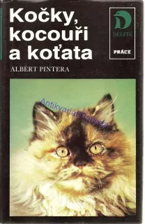 Kočky, kocouři a koťata